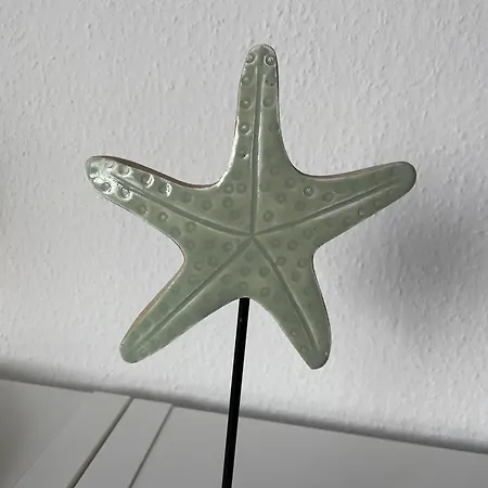 Kuestenbude Seestern