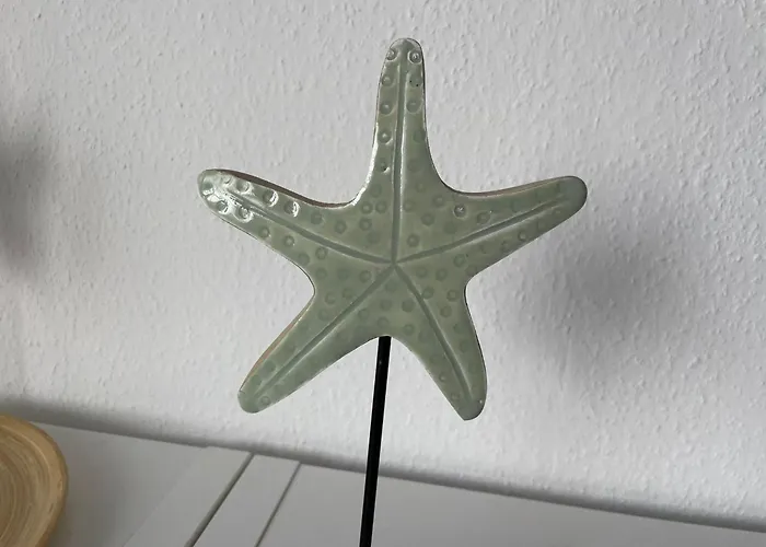 Kuestenbude Seestern