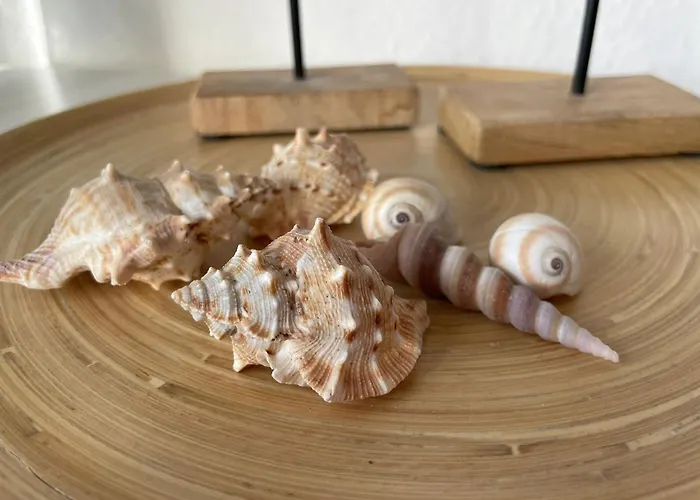 Kuestenbude Seestern Διαμέρισμα